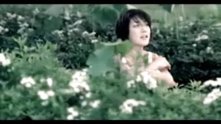 05410508522491F66A0A4A355F608542